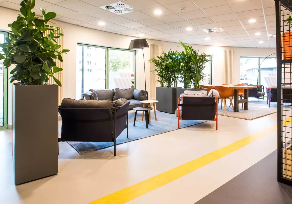 Vlekkenplan Projectinrichting