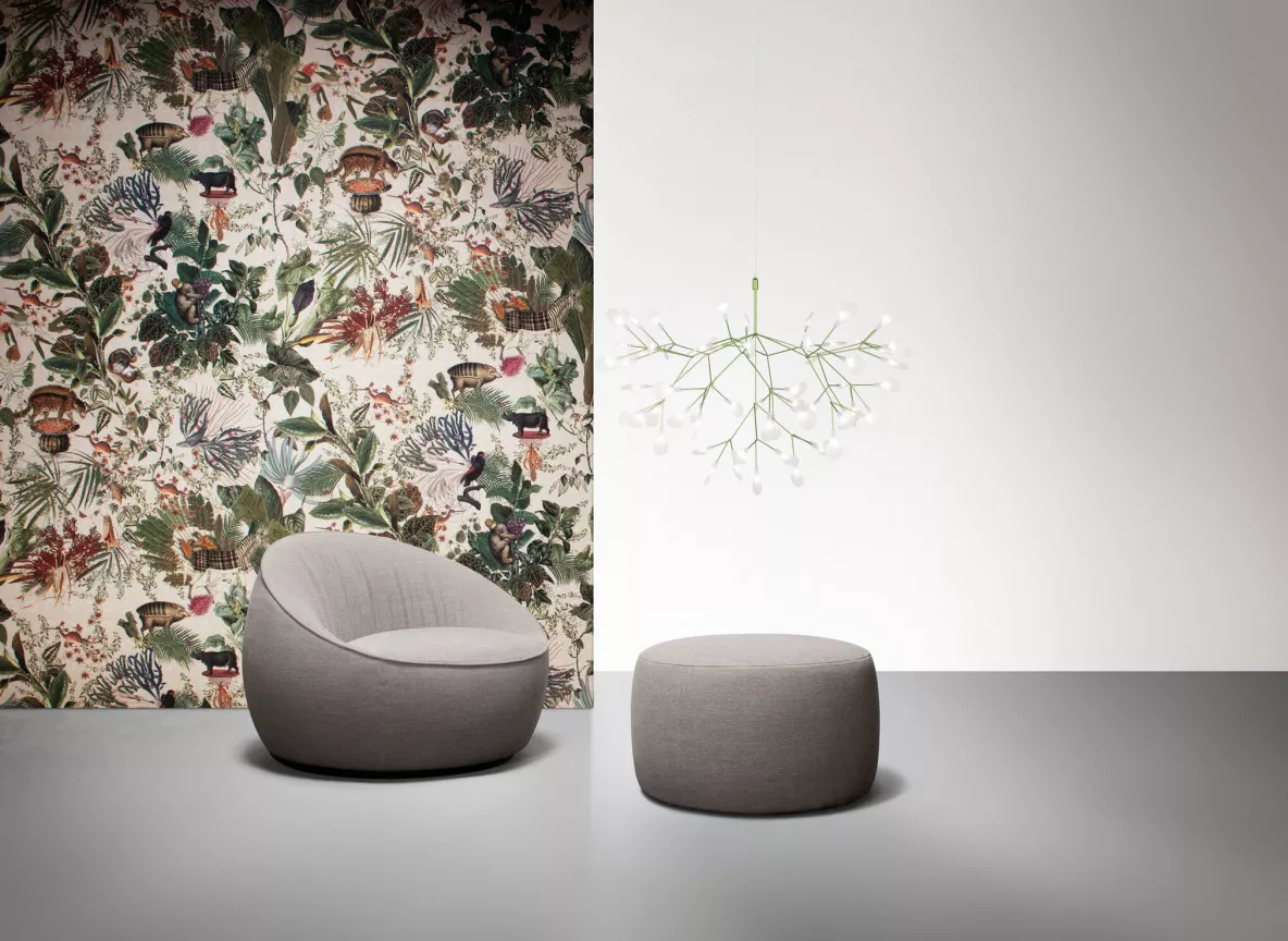 Heracleum van Moooi op kantoor