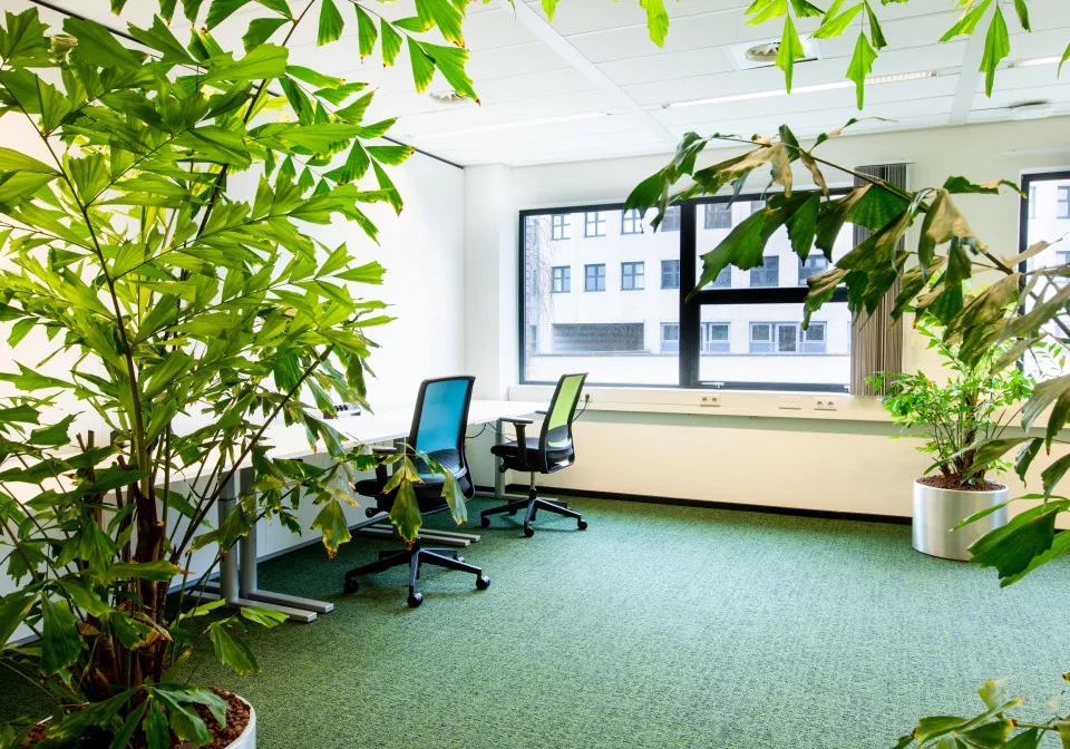 Groen op kantoor