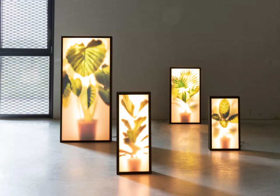 Verlicht de ruimte met Zuiver