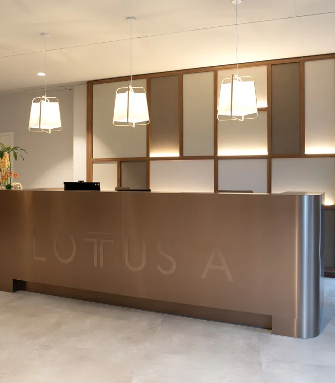 LR 20251201 LotusA 0008 1