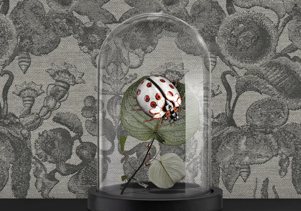 CoccinellaBella in glass bell