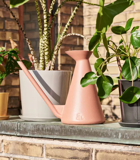 Botanical Family Watering Can terracotta 01 1