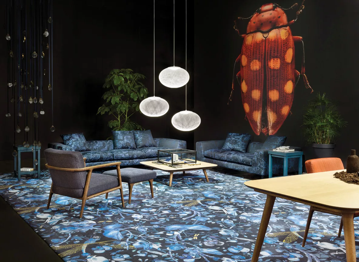 Moooi1
