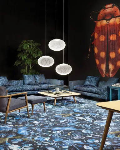 Moooi1