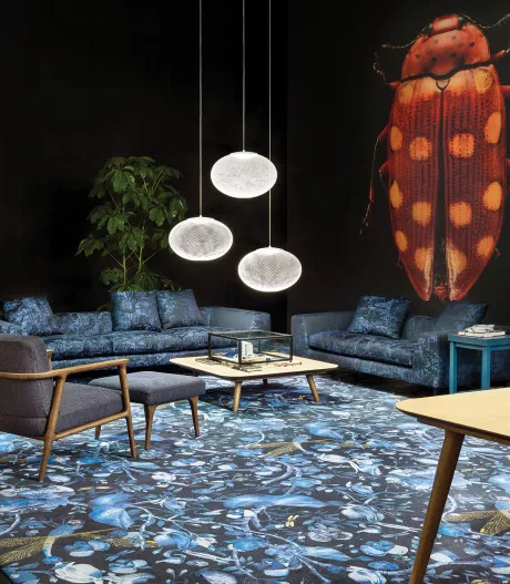 Moooi1