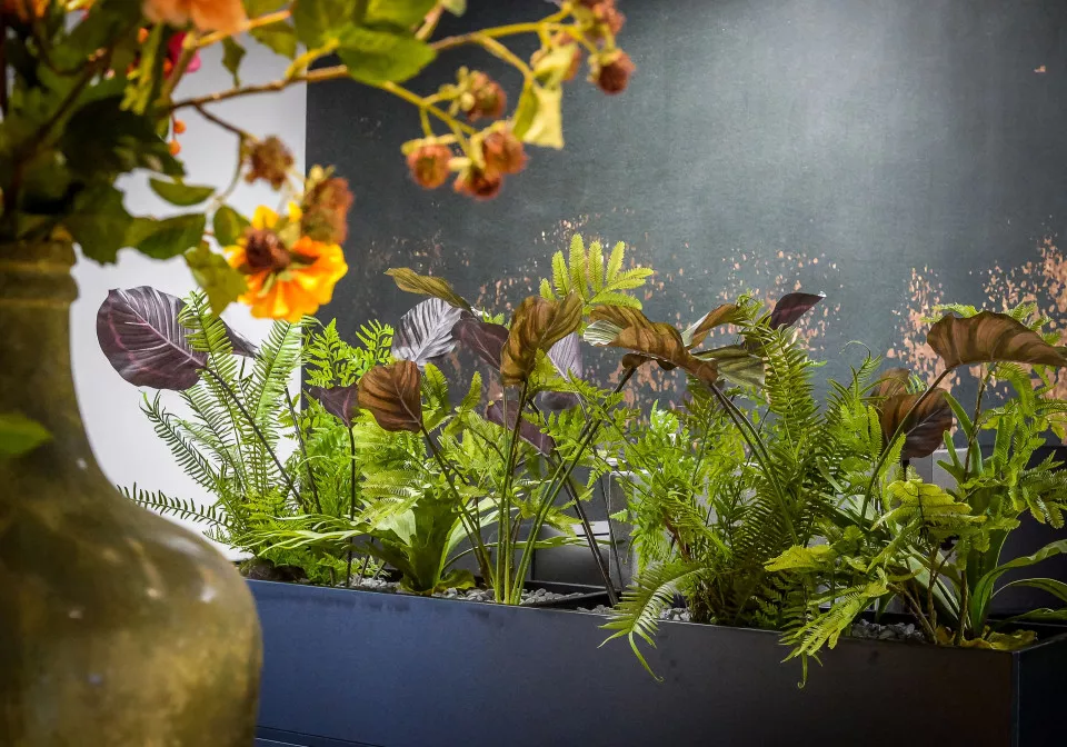 Planten in interieur 