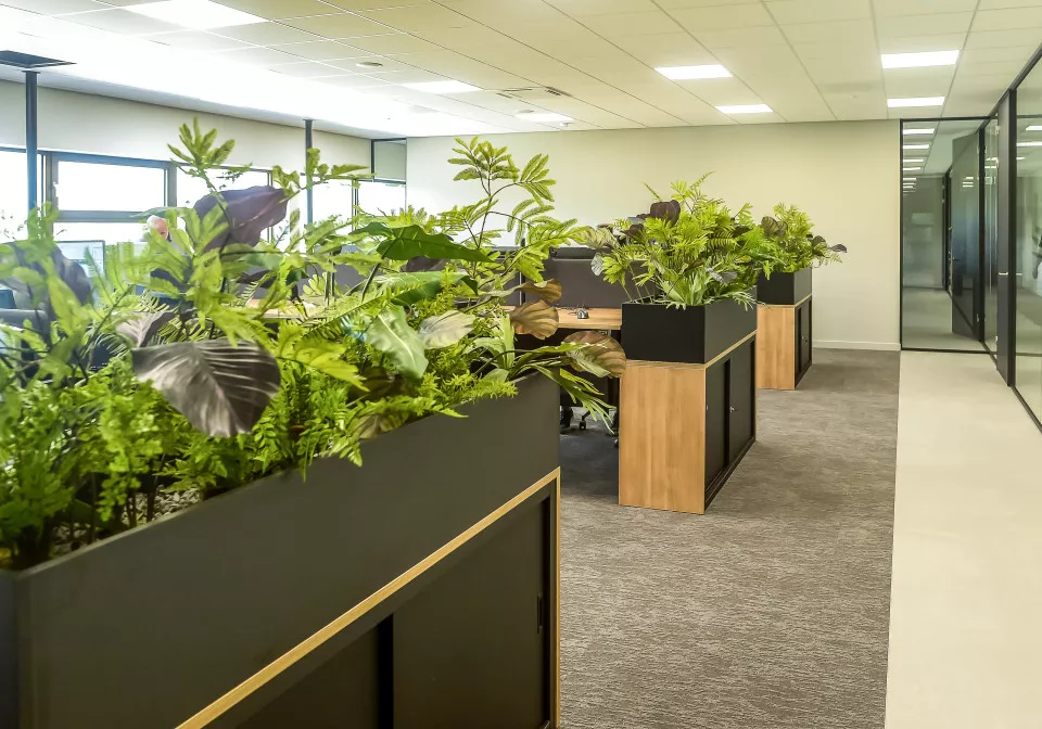 Voordelen van groen in je kantoorinrichting - 1