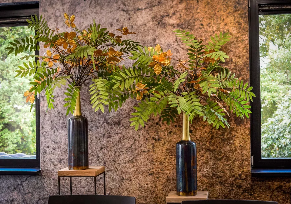 Planten in kantoorinrichting