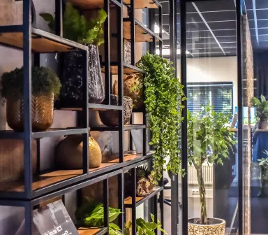 Voordelen van groen in je kantoorinrichting - 6