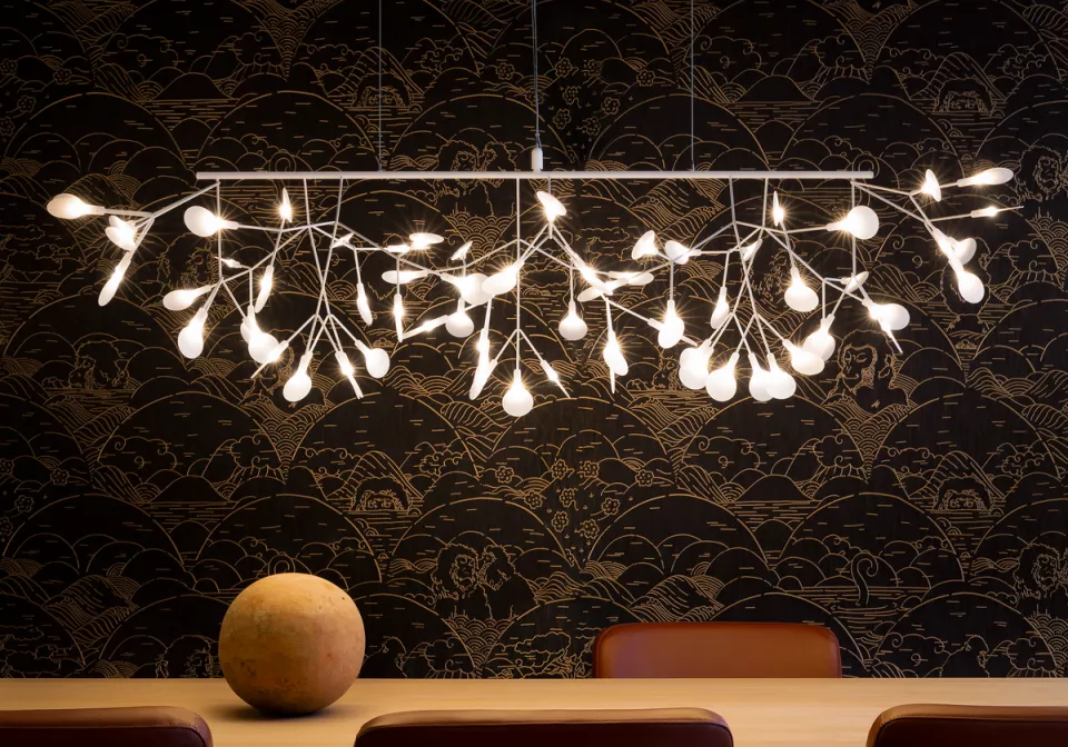 Heracleum Linear by Bertjan Pot