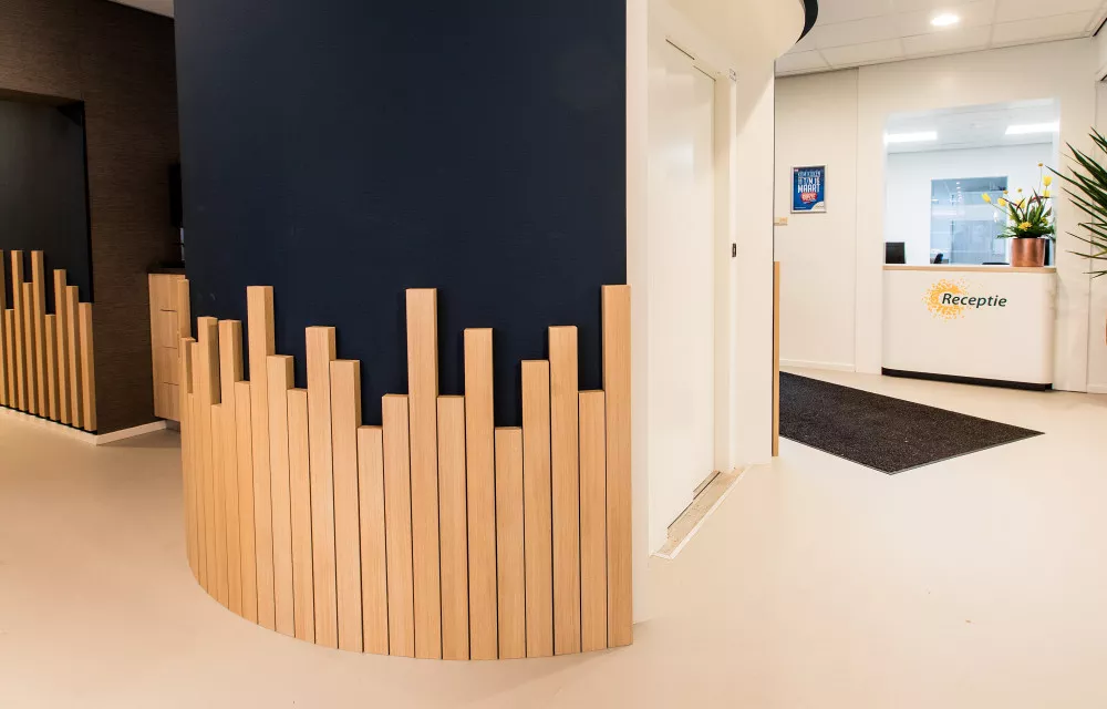 Avelijn Borne case houtaccenten Kato Projecten