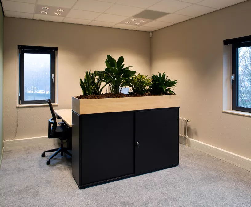 LR 20250117 BKB 187 1