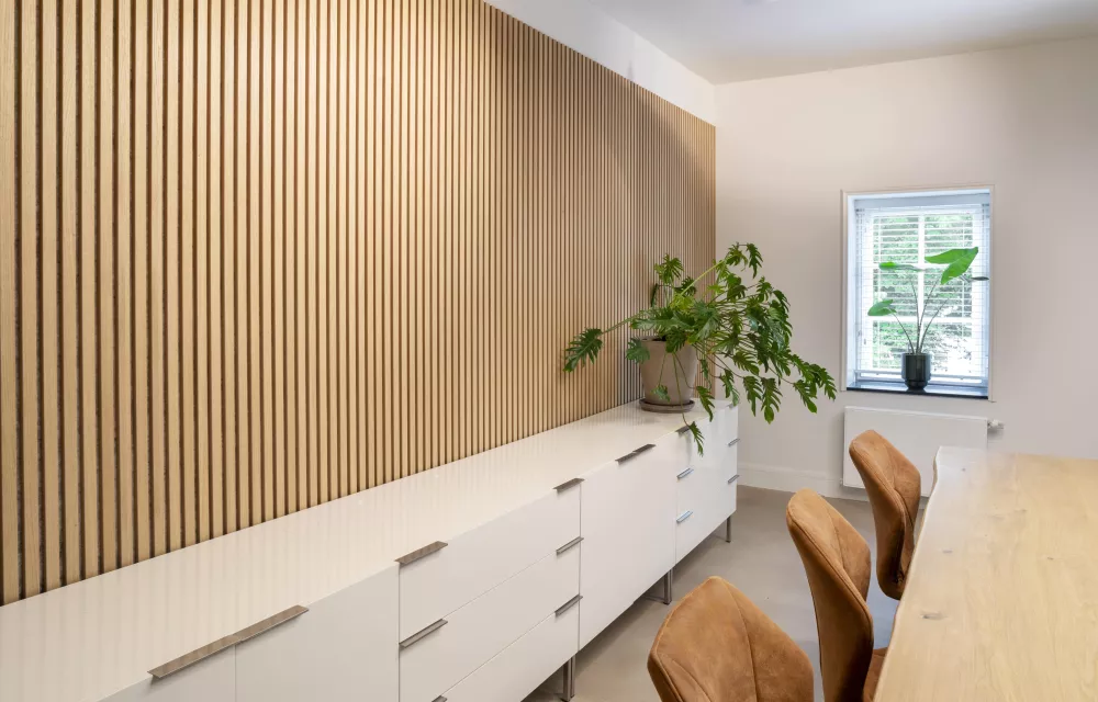 BexerHamstra case kast kato projecten