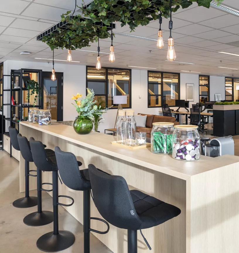H1 Webdevelopment Rotterdam case bar Kato Projecten