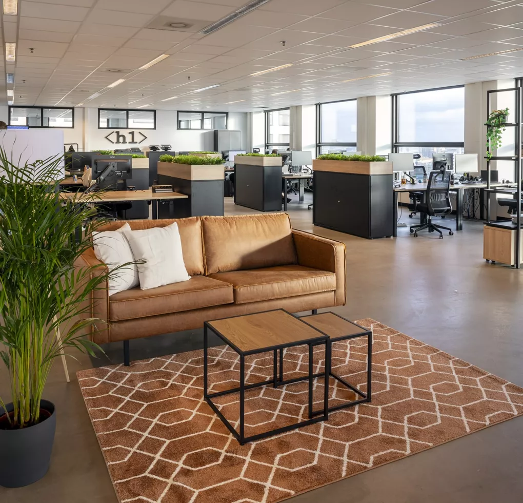 H1 Webdevelopment Rotterdam case zitlounge Kato Projecten