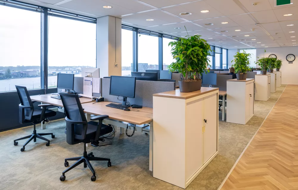 IO Research Amsterdam bureaus