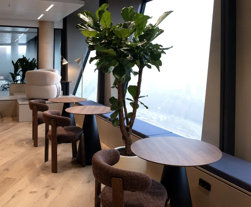 LR 20260130 CoOffice 0043 1