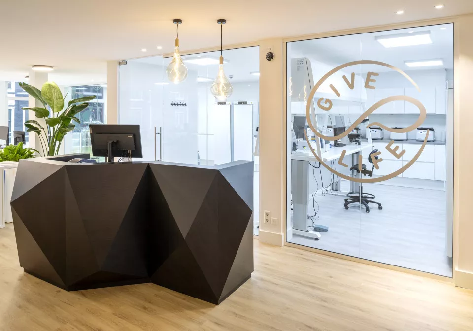 Projectinrichters nederland