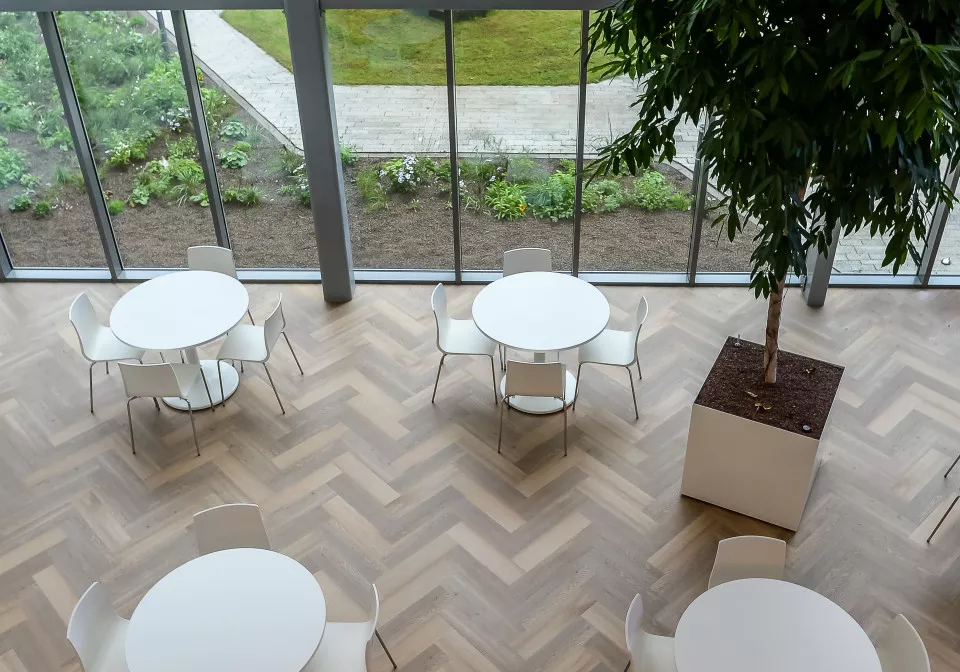 Een kantoorinrichting op circulaire basis