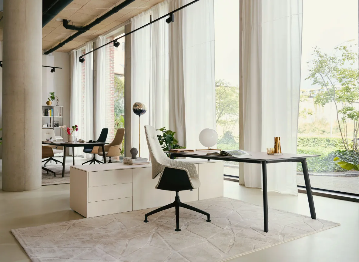se mission se vision executive 5773