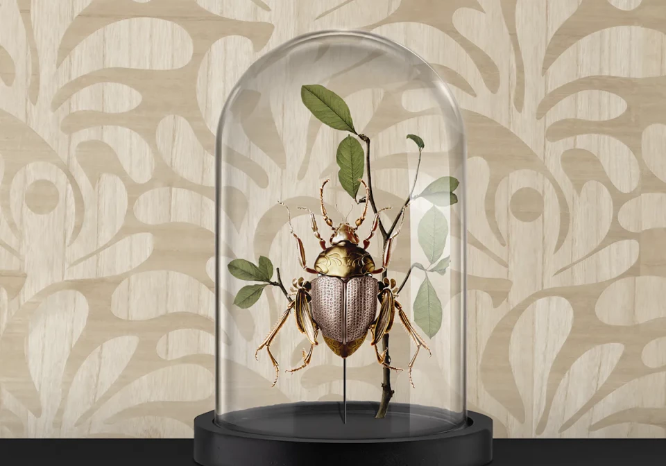 WoodblockBeetle in glass bell