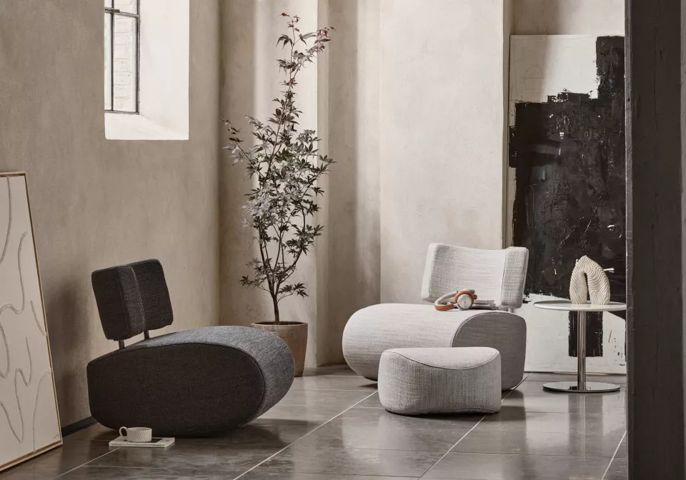 softline heracleum
