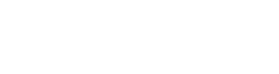 IT-Label Certified Partner
